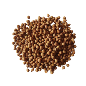 Brown Channa