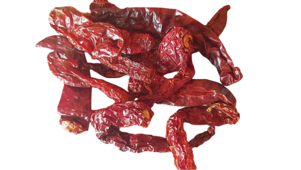 Byadagi Chilli - Image 2