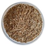 Jeera(Cumin Seeds)