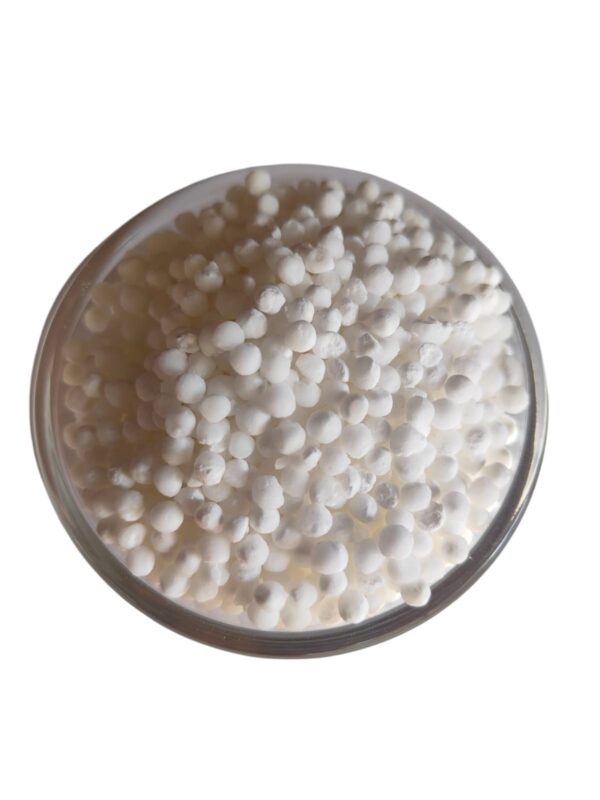 Sabudana