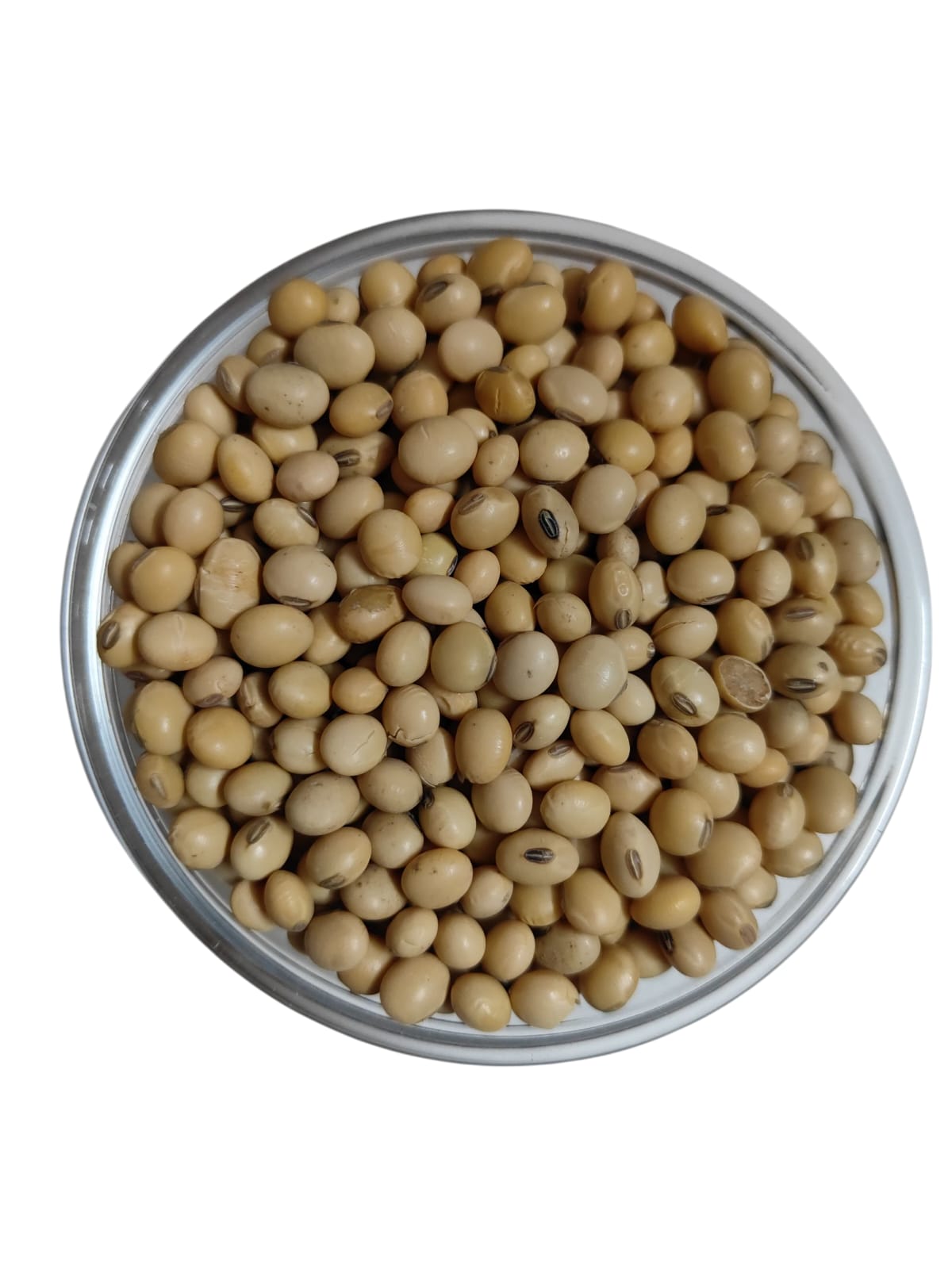Soya Seeds