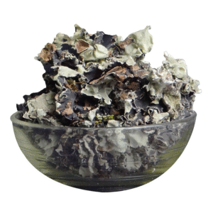 Stone Flower