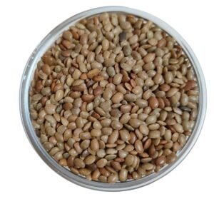 Horse Gram
