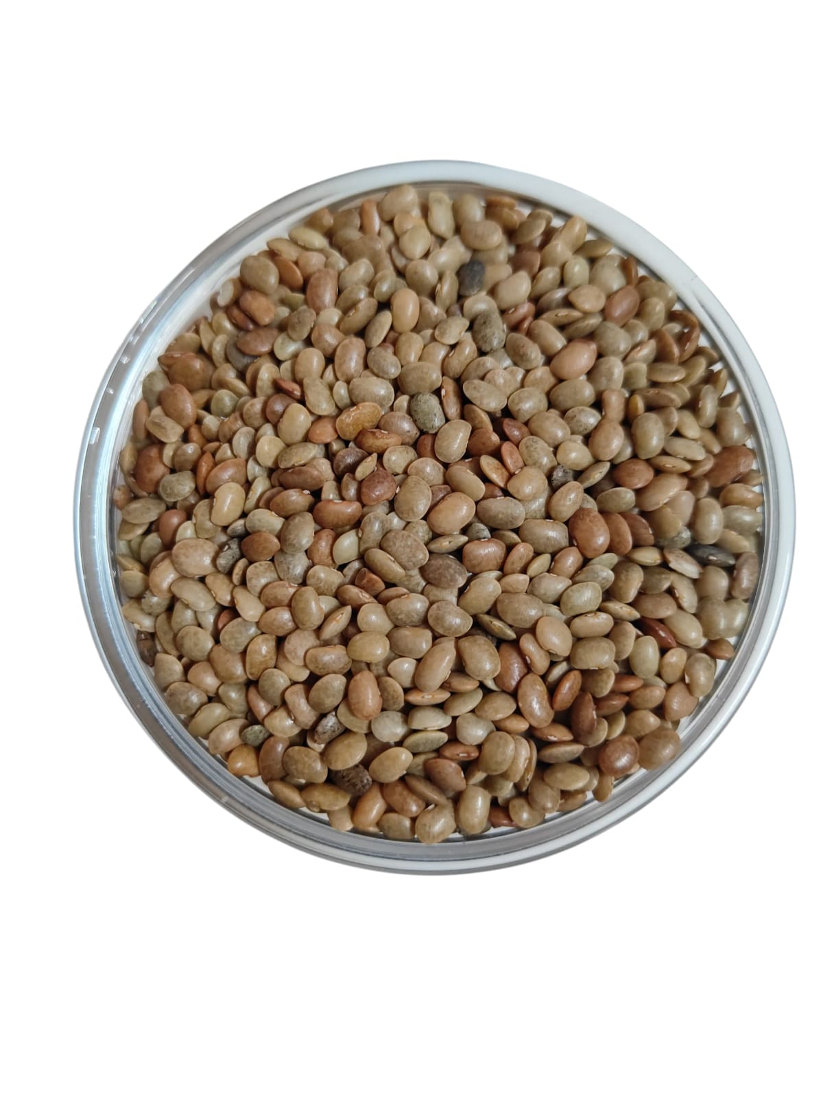 Horse Gram