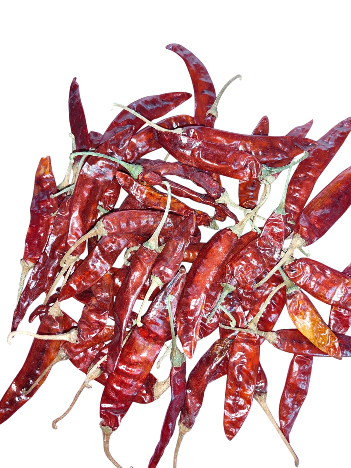 Guntur Chilli