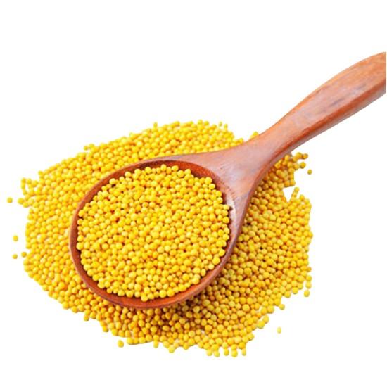 Yellow Mustard
