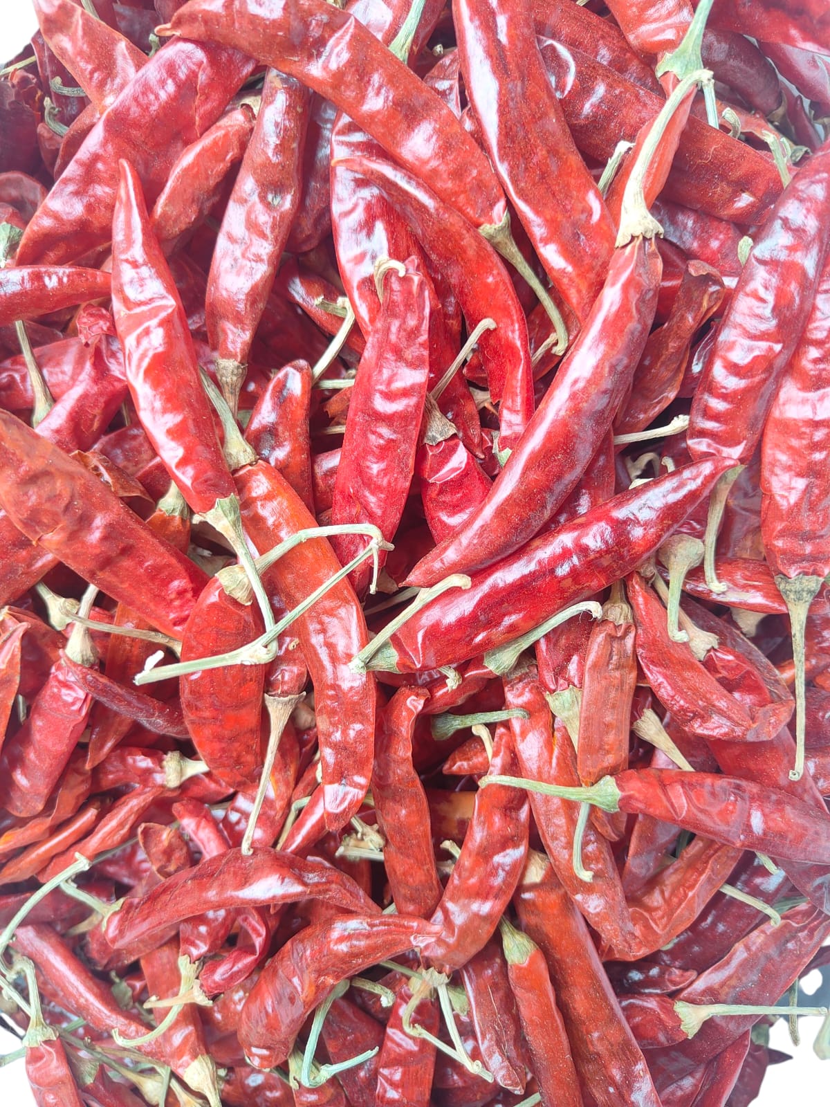 Dry Chilli - Guntur Chilli